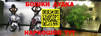 mdpv Брянск