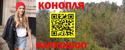 mdpv Брянск