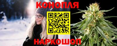 mdpv Брянск