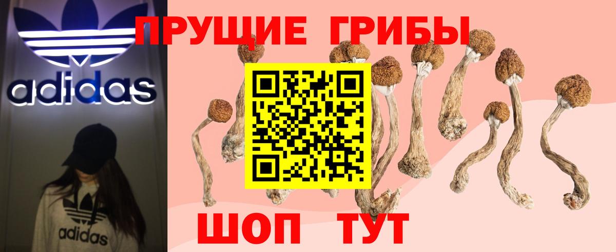Галлюциногенные грибы мицелий Карачаевск